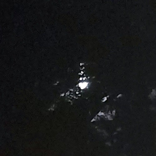 on my mind tn (w/ Aiden Hilton☆) [Prod. ilynedia]