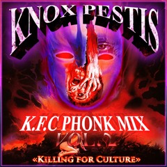 K.F.C. Phonk Mix vol. 2