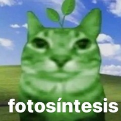 fotoszintezis