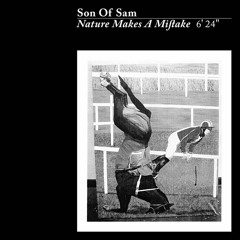 Son Of Sam - Nature Makes Mistakes (Eelco's Natural disaster edit)
