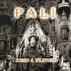 Pali - ZORRO & WILDTONZ