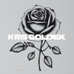 Tim McMorris - Never Letting Go (Kris Goldek Remix)