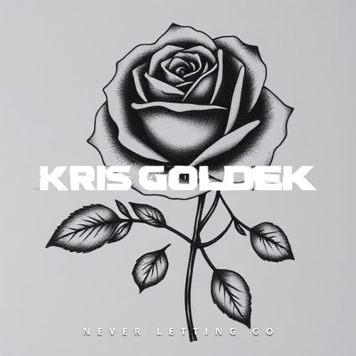 Tim McMorris - Never Letting Go (Kris Goldek Remix) (Dubstep)