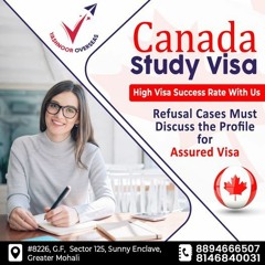 Canada Study Visa With PTE Consultants In Mohali