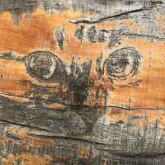 chilly soundscapes 6