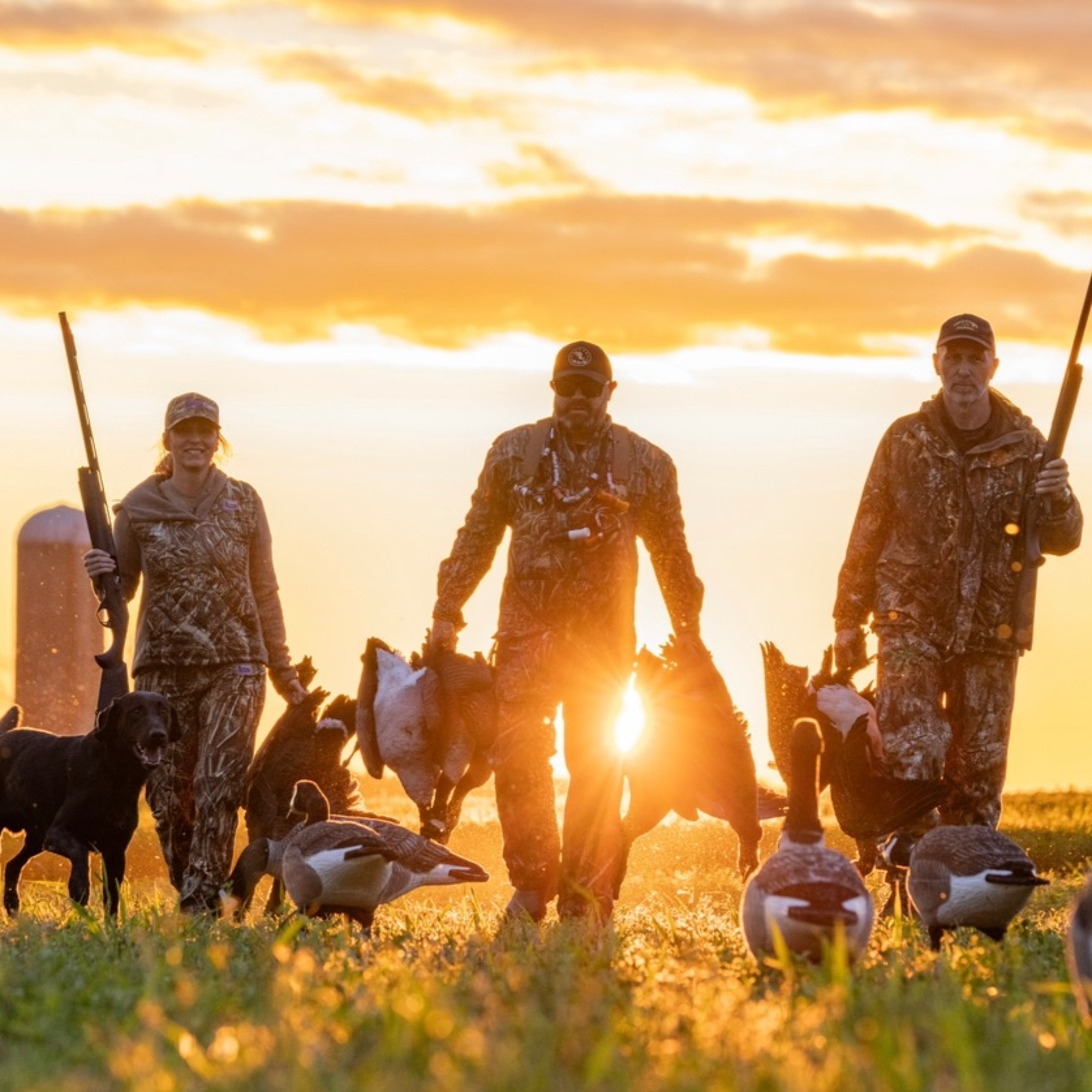 The Fowl Life