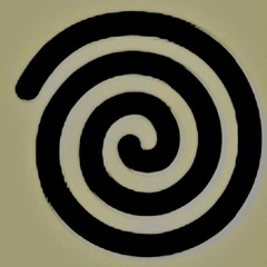 Spins
