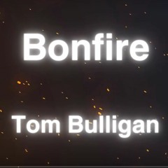 Bonfire (Foje - Laužo šviesa) [English cover]