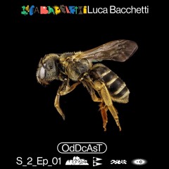 Oddcast 010 - Luca Bacchetti