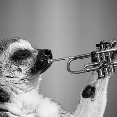 Far Out Revelry May 28