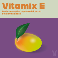 Markus Haase - VitamixE