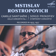 Symphony-Concerto in E Minor, Op. 125: I. Andante
