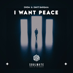 DNDM & Davit Barqaia - I Want Peace