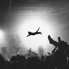 SVNF8 - Facing Reality