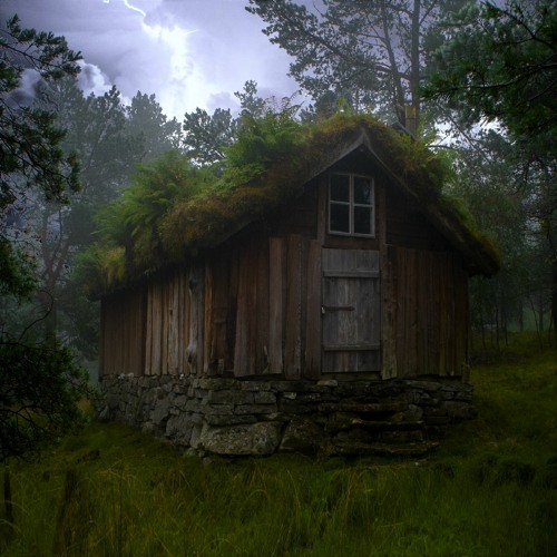 SLEEP DEEPLY IN THE WOODS with THUNDERSTORM SOUNDS