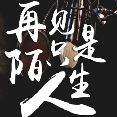 Zhuang Xin Yan - Zai Jian Zhi Shi Mo Sheng Ren 再见只是陌生人 (LVS Remix) [DS75]