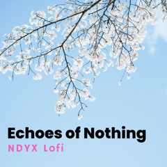 Echoes of Nothing