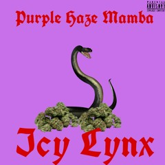 Purple Haze Mamba - Icy Lynx prod by Haake