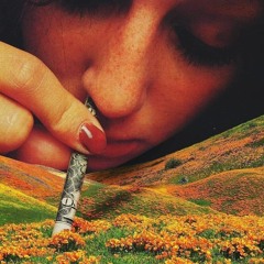 Progress Of A Restless Mind