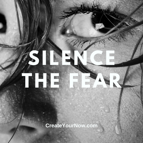 Stream 3019 Silence the Fear by Create Your Now Listen online for