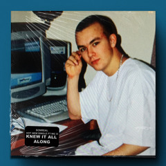 Knew It All Along (With Nic D)