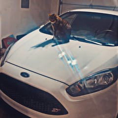 It’s the Time of the Season for Self Reflecting