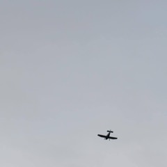 Denizens Flying Above The Clouds
