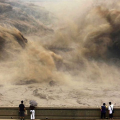 myocardial rupture **humiliation.79