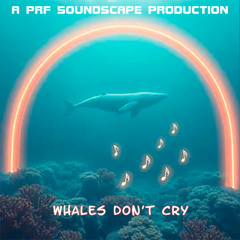 Whales Don't Cry