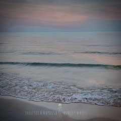Rapossa, Shellsee - Memory Waves