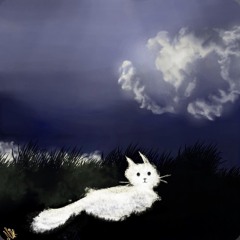 Imperfect (prod. peril)