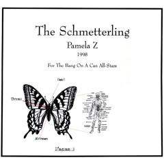 The Schmetterling (Bang On A Can Allstars Live wPZ, 1998)
