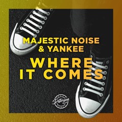 Majestic Noise & Yankee - Where It Comes (Distorsion Records)