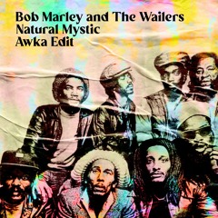 Free DL: Bob Marley & The Wailers - Natural Mystic (Awka Edit)