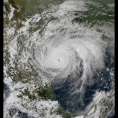 Forcast