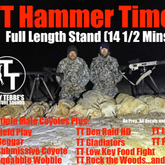 TT Hammer Time 2 Sample