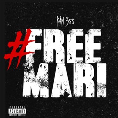 #FREEMARI (Prod. Spxce1800)