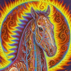 Voodoo Child - Horses (1994)