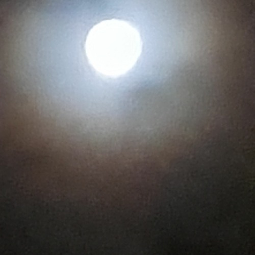 one star [naviarhaiku492]