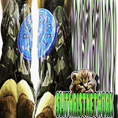 rig p. Cashleyfe #slitwristnetwork
