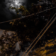 ذكراك صارت تتعب القلب والحال