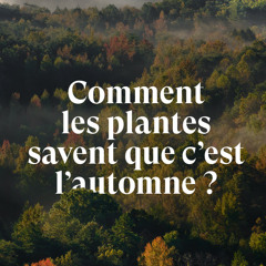 Comment les plantes savent que c'est l'automne ?