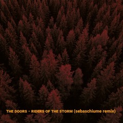 The Doors - Riders On The Storm (SebaSchiume Remix)