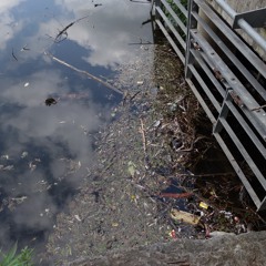 Station 1: "Buried Creek"