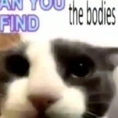 (reupload) heymylan - mr mylancore