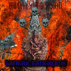 Pill Culture_Orphan Sound System