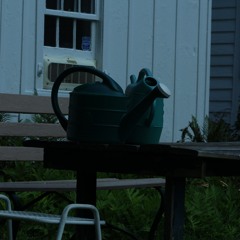 I'll lie until it kills me