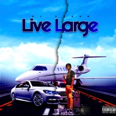 DJ STARR - LIVE LARGE