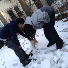 ny in dec (ogida140) all plats