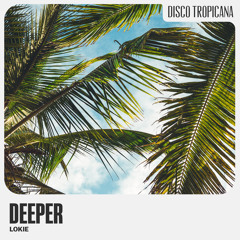 Disco Tropicana 🌴  - nu disco, disco house & disco classics